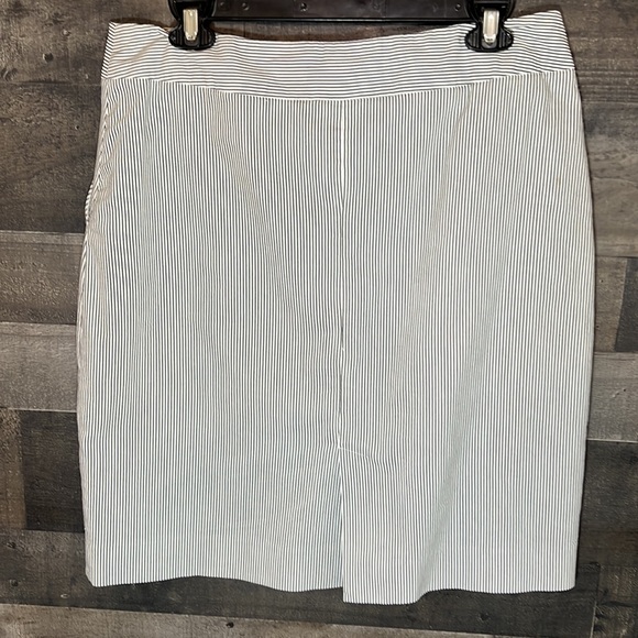 Gray and Black Pin Striped Skirt - Picture 3 of 4